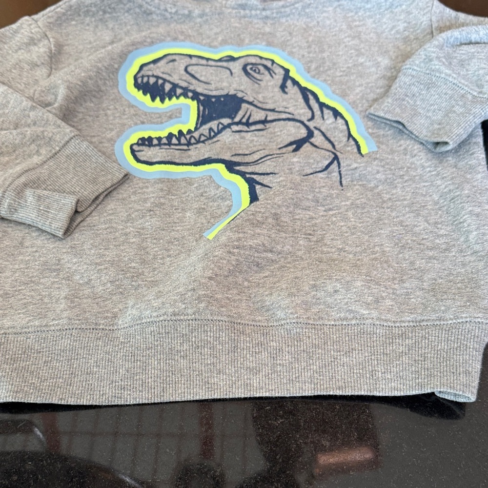 Gray Dinosaur fleece Hoodie for Kids - Picture 6 of 8
